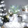 USB LED String Light