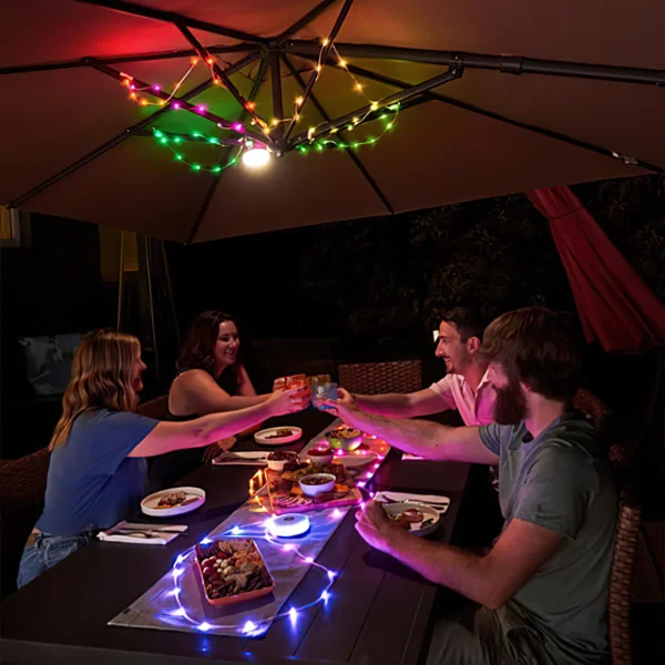 2-in-1 Solar String Lights