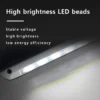 Camper LED Porch Light